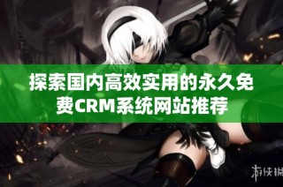 探索国内高效实用的永久免费CRM系统网站推荐