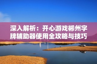 深入解析：开心游戏郴州字牌辅助器使用全攻略与技巧分享