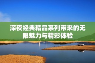 深夜经典精品系列带来的无限魅力与精彩体验