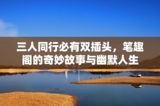 三人同行必有双插头，笔趣阁的奇妙故事与幽默人生