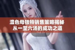澧色母独特销售策略揭秘 从一至六汤的成功之道