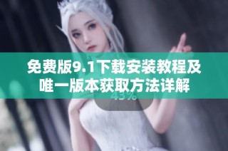免费版9.1下载安装教程及唯一版本获取方法详解