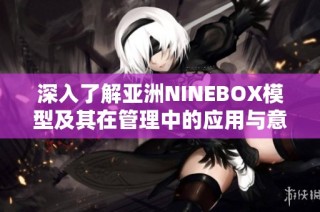 深入了解亚洲NINEBOX模型及其在管理中的应用与意义
