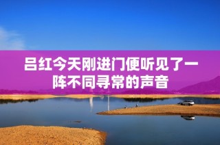 吕红今天刚进门便听见了一阵不同寻常的声音
