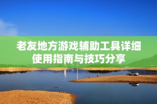 老友地方游戏辅助工具详细使用指南与技巧分享