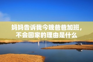 妈妈告诉我今晚爸爸加班，不会回家的理由是什么