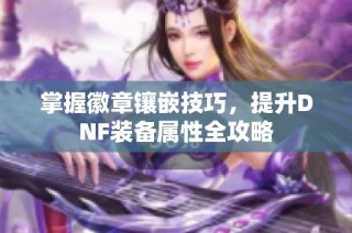 掌握徽章镶嵌技巧，提升DNF装备属性全攻略