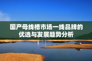 国产母线槽市场一线品牌的优选与发展趋势分析
