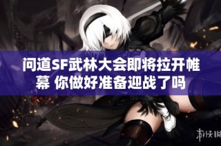 问道SF武林大会即将拉开帷幕 你做好准备迎战了吗