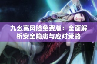 九幺高风险免费版：全面解析安全隐患与应对策略
