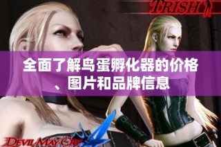全面了解鸟蛋孵化器的价格、图片和品牌信息