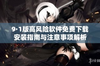 9·1版高风险软件免费下载安装指南与注意事项解析