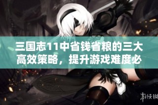 三国志11中省钱省粮的三大高效策略，提升游戏难度必备技巧