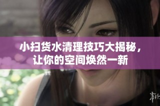 小扫货水清理技巧大揭秘，让你的空间焕然一新