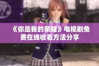 《你是我的荣耀》电视剧免费在线收看方法分享