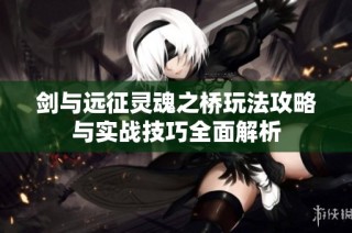 剑与远征灵魂之桥玩法攻略与实战技巧全面解析