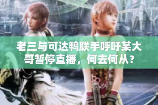 老三与可达鸭联手呼吁某大哥暂停直播，何去何从？