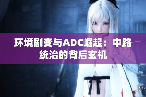 环境剧变与ADC崛起：中路统治的背后玄机
