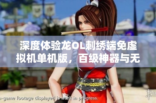 深度体验龙OL刺绣端免虚拟机单机版，百级神器与无限元宝全攻略