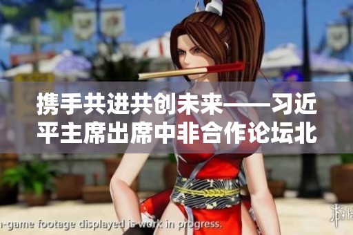 携手共进共创未来——习近平主席出席中非合作论坛北京峰会纪实