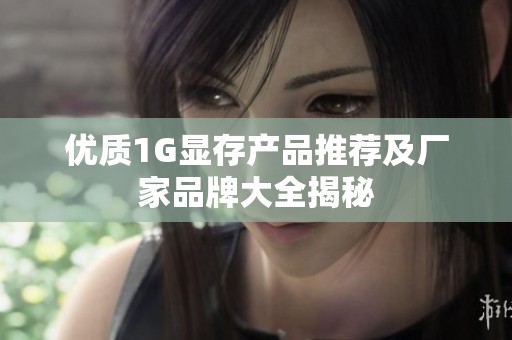 优质1G显存产品推荐及厂家品牌大全揭秘