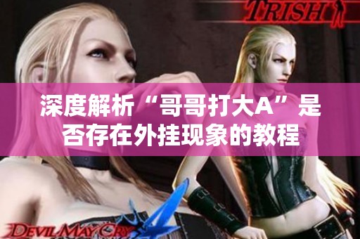 深度解析“哥哥打大A”是否存在外挂现象的教程
