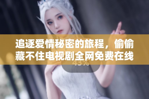 追逐爱情秘密的旅程，偷偷藏不住电视剧全网免费在线看