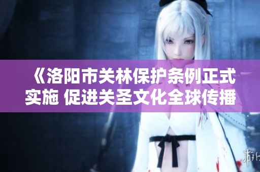 《洛阳市关林保护条例正式实施 促进关圣文化全球传播》
