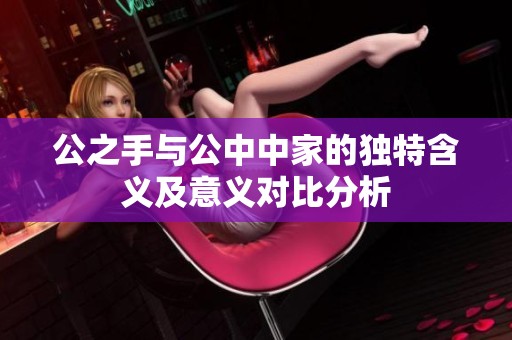 公之手与公中中家的独特含义及意义对比分析