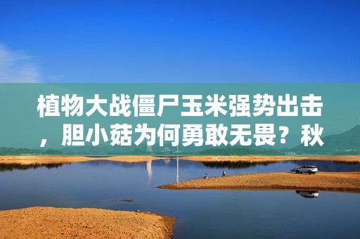植物大战僵尸玉米强势出击，胆小菇为何勇敢无畏？秋仔矿工队来助阵！
