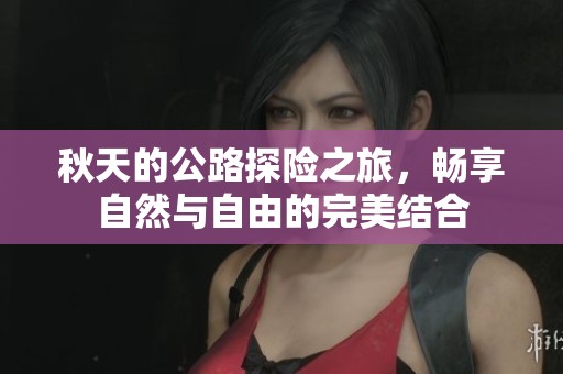 秋天的公路探险之旅，畅享自然与自由的完美结合