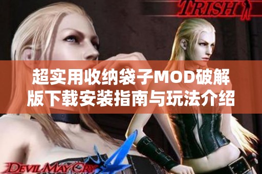 超实用收纳袋子MOD破解版下载安装指南与玩法介绍