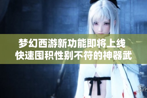 梦幻西游新功能即将上线 快速囤积性别不符的神器武器