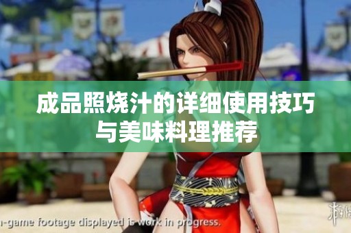 成品照烧汁的详细使用技巧与美味料理推荐