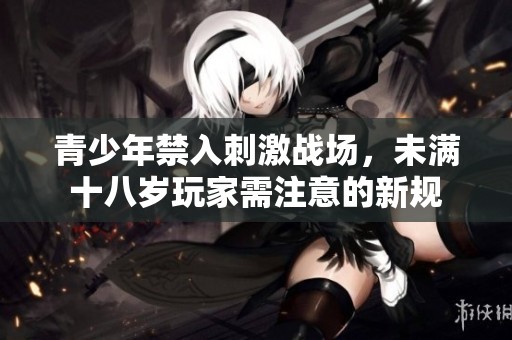 青少年禁入刺激战场，未满十八岁玩家需注意的新规