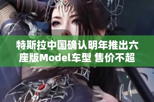 特斯拉中国确认明年推出六座版Model车型 售价不超200万元
