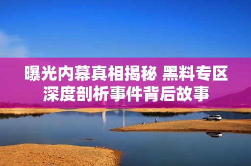 曝光内幕真相揭秘 黑料专区深度剖析事件背后故事