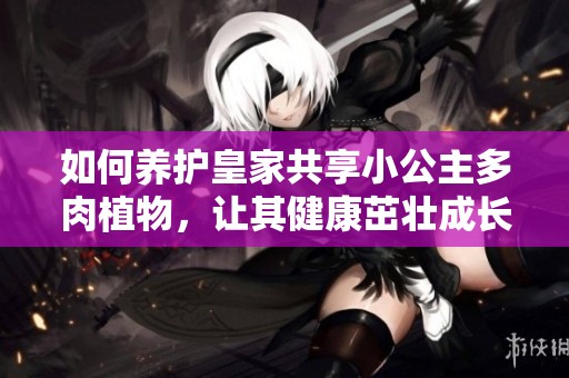 如何养护皇家共享小公主多肉植物，让其健康茁壮成长
