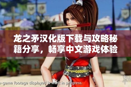 龙之矛汉化版下载与攻略秘籍分享，畅享中文游戏体验