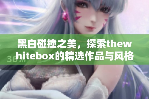 黑白碰撞之美，探索thewhitebox的精选作品与风格