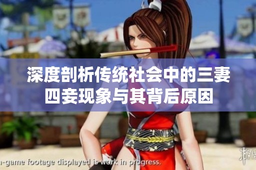 深度剖析传统社会中的三妻四妾现象与其背后原因