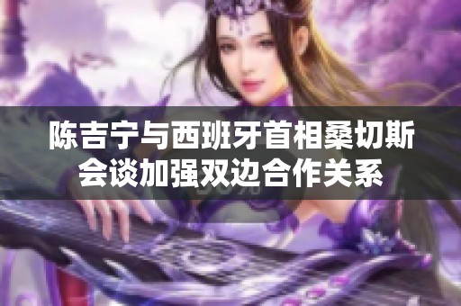 陈吉宁与西班牙首相桑切斯会谈加强双边合作关系