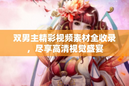 双男主精彩视频素材全收录，尽享高清视觉盛宴
