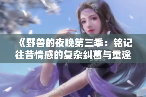 《野兽的夜晚第三季：铭记往昔情感的复杂纠葛与重逢》