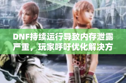 DNF持续运行导致内存泄露严重，玩家呼吁优化解决方案