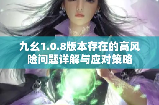 九幺1.0.8版本存在的高风险问题详解与应对策略