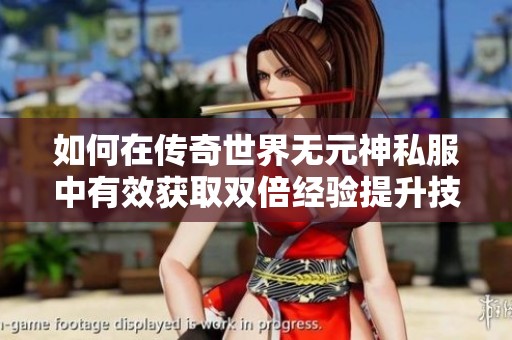 如何在传奇世界无元神私服中有效获取双倍经验提升技巧分享