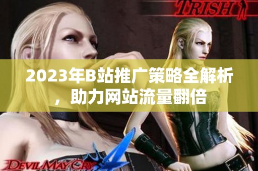 2023年B站推广策略全解析，助力网站流量翻倍