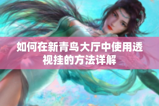 如何在新青鸟大厅中使用透视挂的方法详解