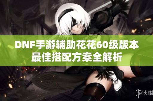 DNF手游辅助花花60级版本最佳搭配方案全解析